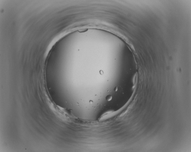 X0000076061530200610152150