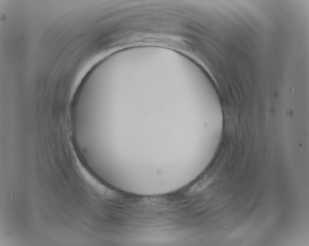 X0000076061531200610152150