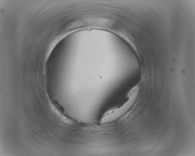 X0000076061532200610152150