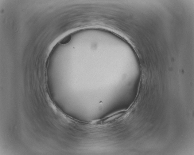 X0000076061534200610152150