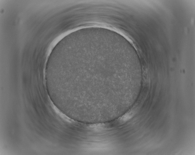 X0000076061535200610152150