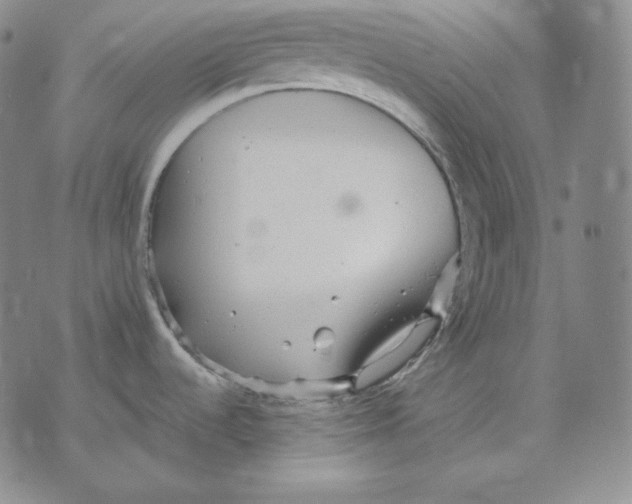 X0000076061536200610152150