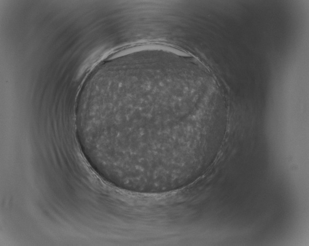 X0000076060002200610202000