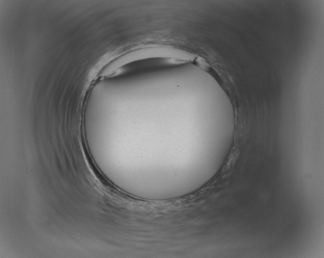 X0000076060003200610202000