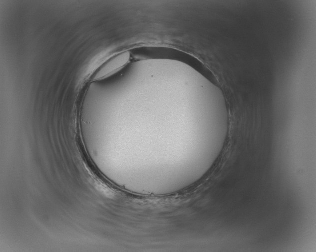 X0000076060005200610202000