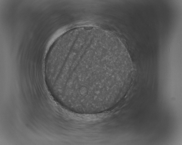 X0000076060006200610202000