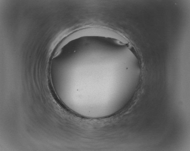 X0000076060007200610202000