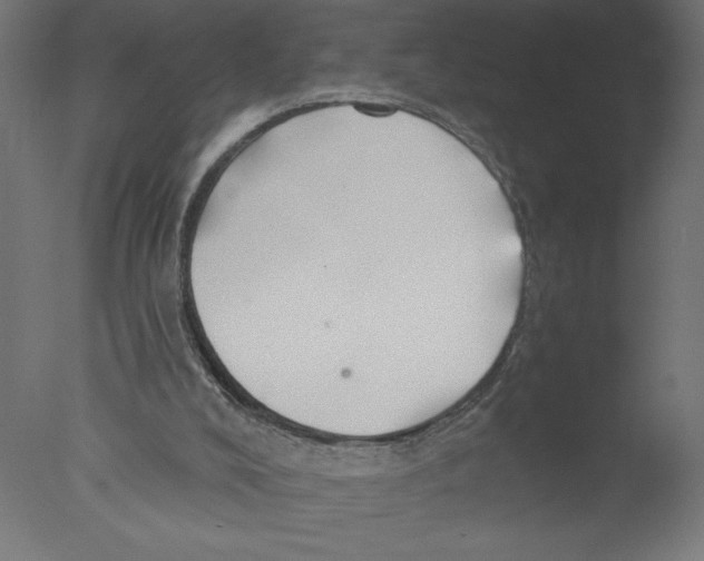 X0000076060008200610202000