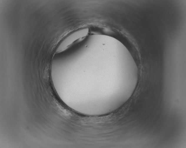 X0000076060009200610202000