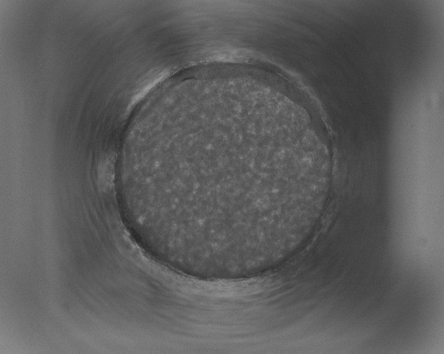 X0000076060010200610202000