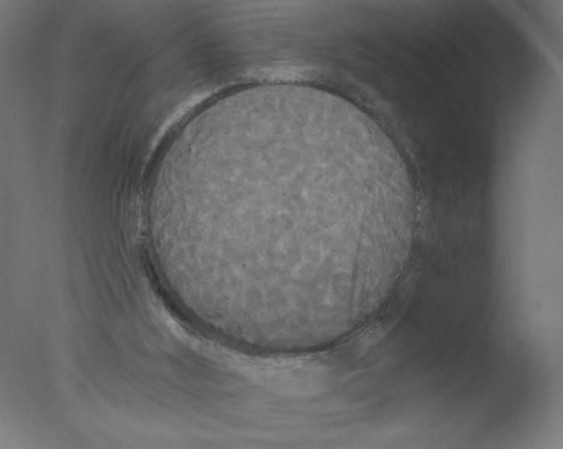 X0000076060012200610202000