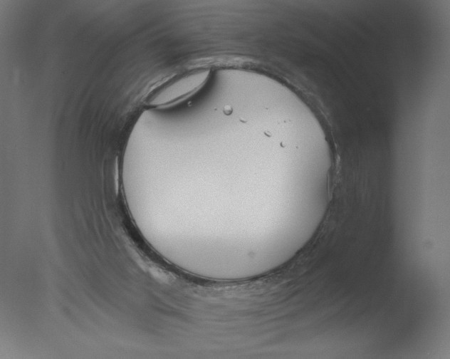 X0000076060013200610202000