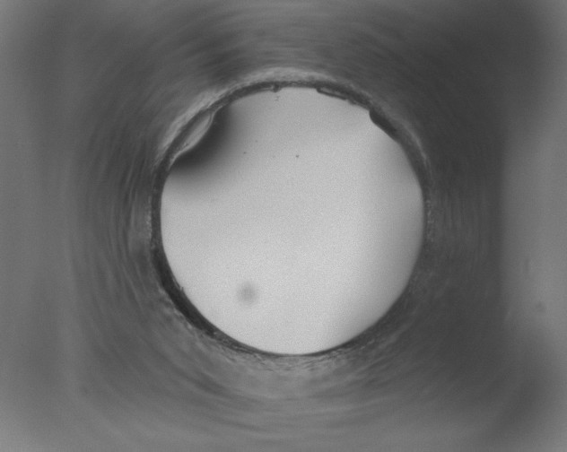 X0000076060015200610202000