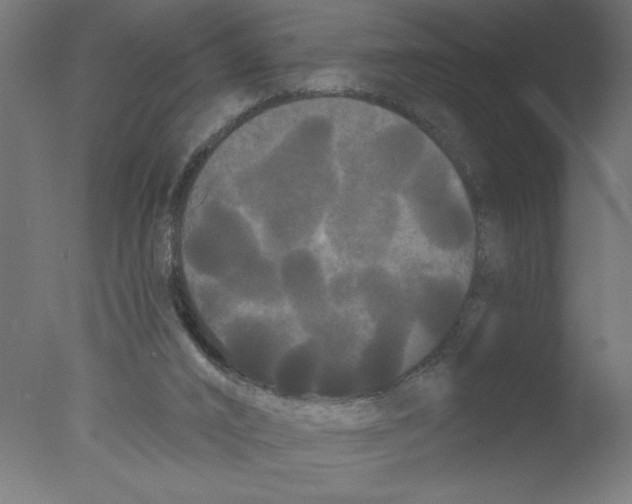 X0000076060016200610202000