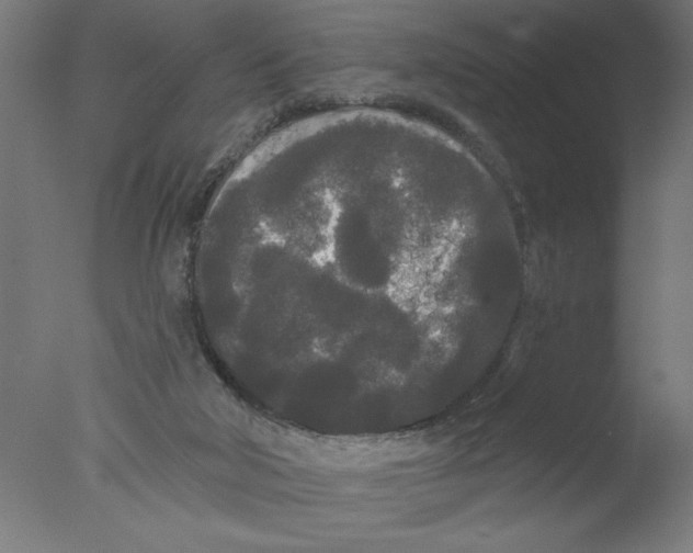 X0000076060018200610202000