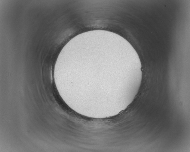 X0000076060020200610202000