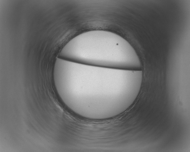 X0000076060021200610202000