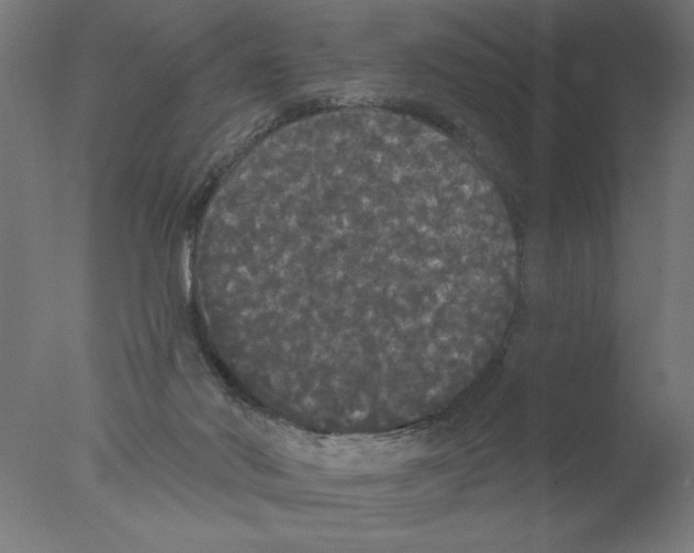 X0000076060022200610202000