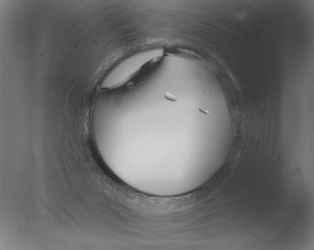 X0000076060023200610202000