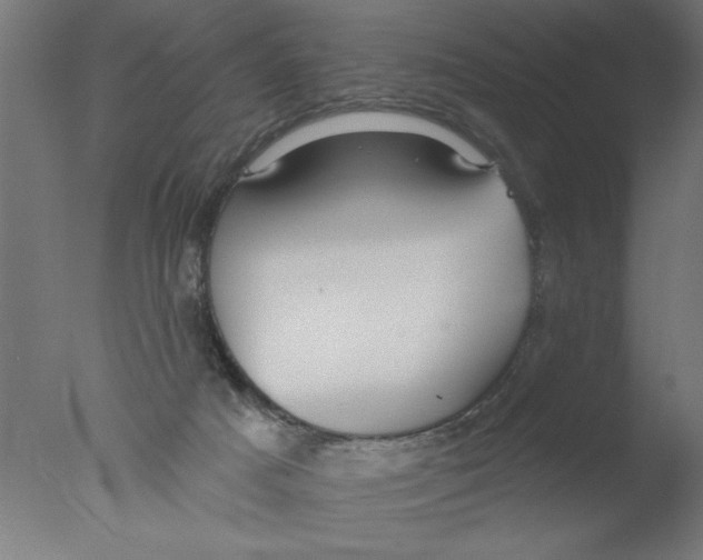 X0000076060025200610202000