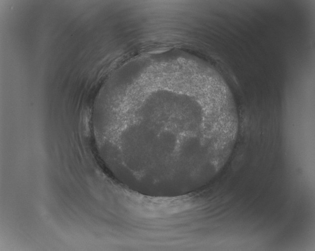 X0000076060026200610202000