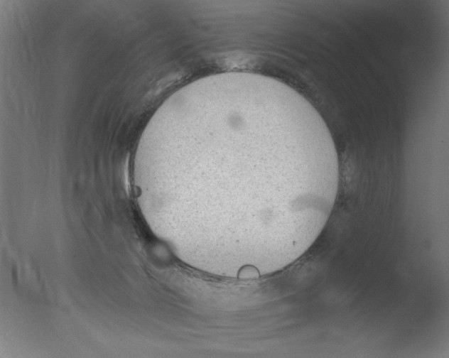 X0000076060028200610202000