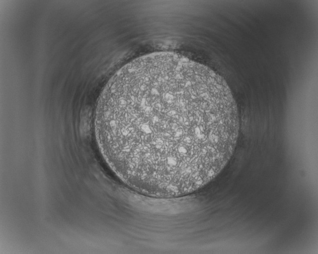 X0000076060030200610202000