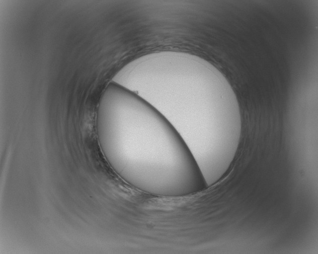 X0000076060033200610201959