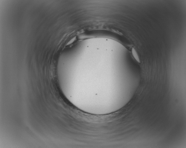 X0000076060035200610201959