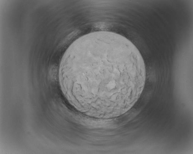 X0000076060036200610201959