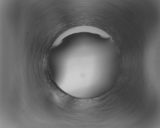 X0000076060037200610201959