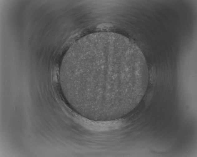 X0000076060038200610201959