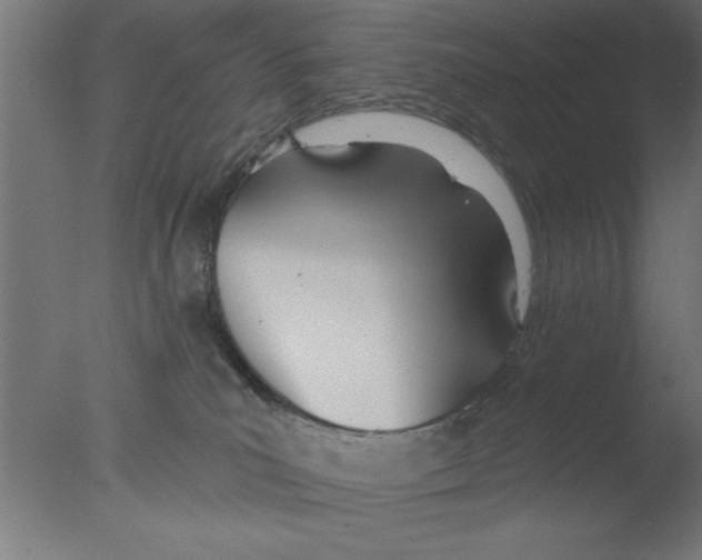 X0000076060039200610201959