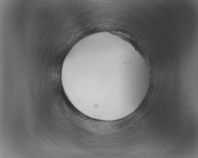 X0000076060040200610201959