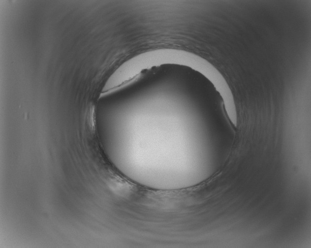 X0000076060041200610201959