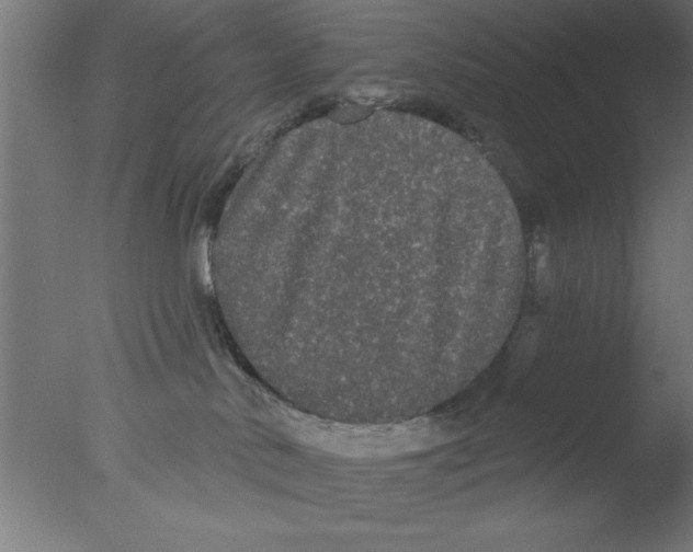 X0000076060042200610201959