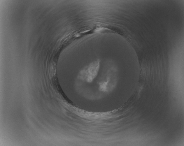 X0000076060043200610201959