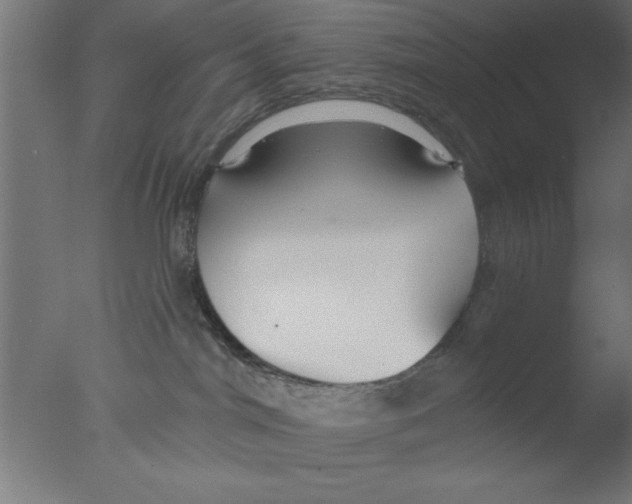 X0000076060044200610201959