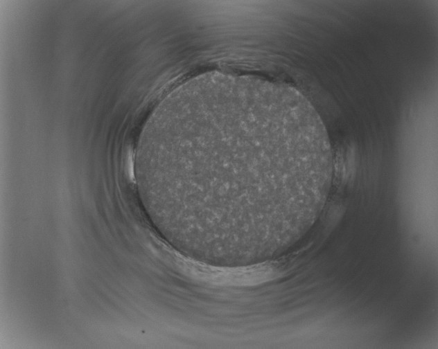 X0000076060046200610201959