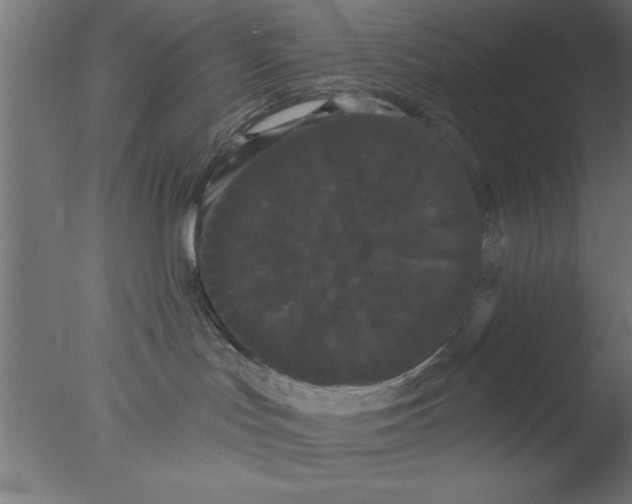 X0000076060047200610201959