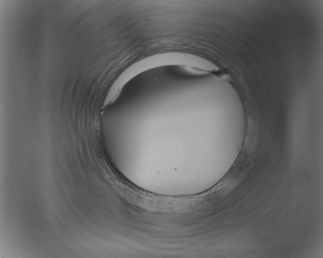 X0000076060048200610201959