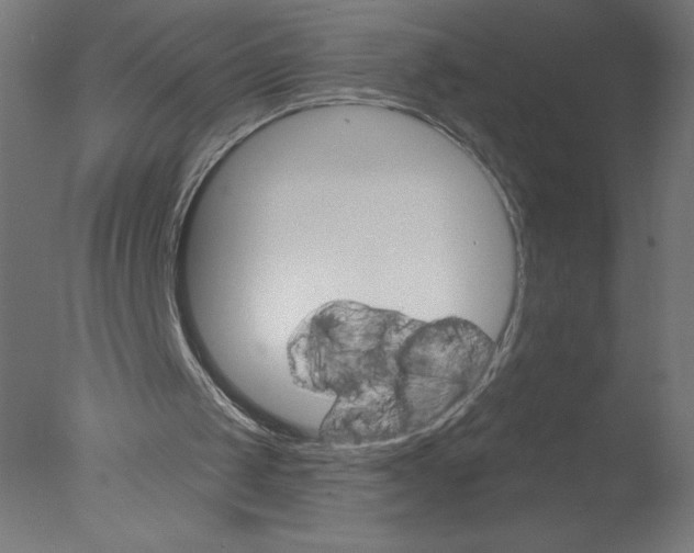 X0000076060049200610201958