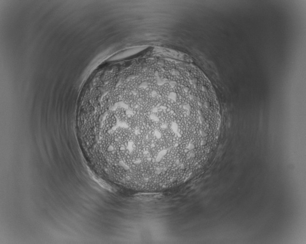 X0000076060051200610201958