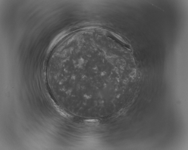 X0000076060053200610201958