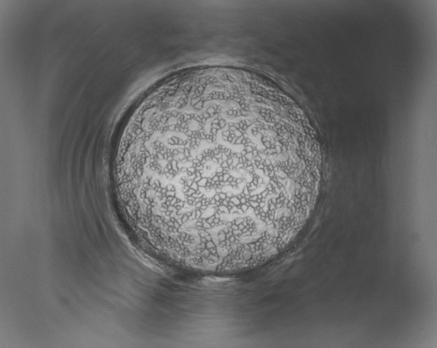 X0000076060055200610201959