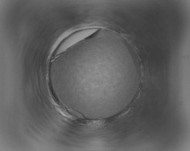 X0000076060056200610201959