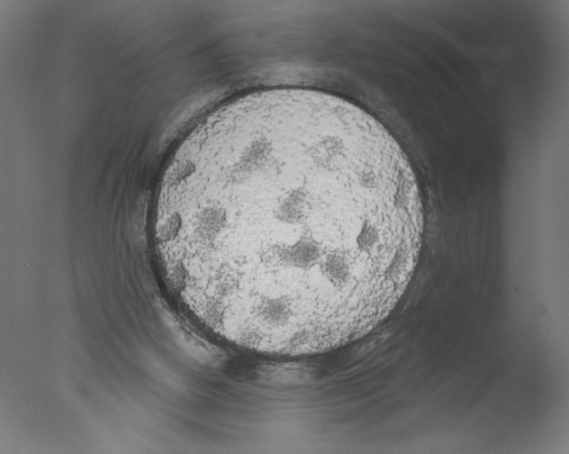 X0000076060058200610201959