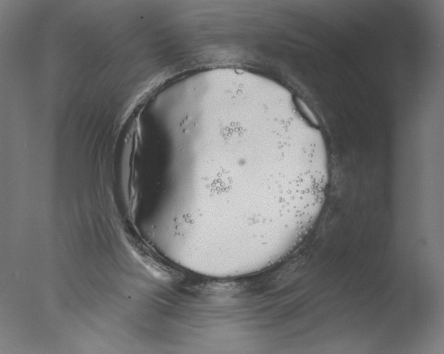 X0000076060059200610201959