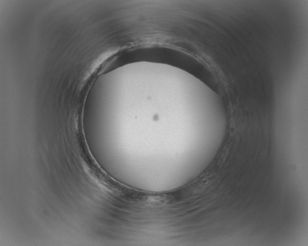 X0000076060060200610201959