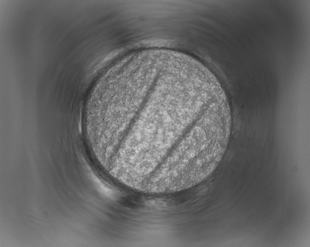 X0000076060062200610201959